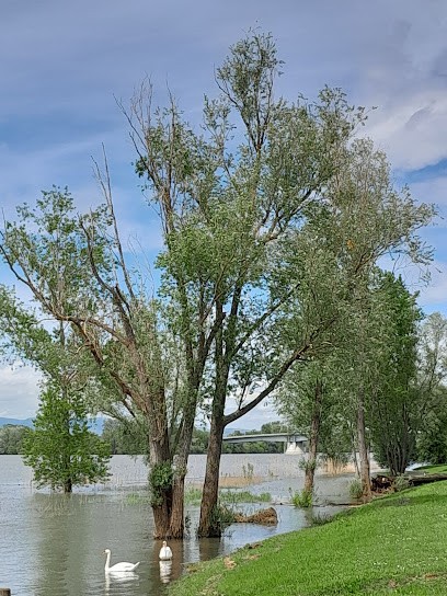 Jassans, Praticien de Médecine Alternative à Villefranche-sur-Saône