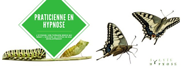 Sylvie Badinier Hypnose, Hypno-thérapie, Relaxation Bio-Dynamique, Massages, Hypnothérapeute à Itteville