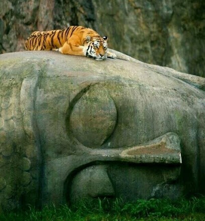 Camille Hellet, Praticien de Médecine Alternative à Reignier-Ésery