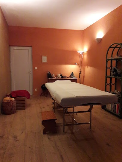 Maggiori Robert, Praticien de Médecine Alternative à Bias