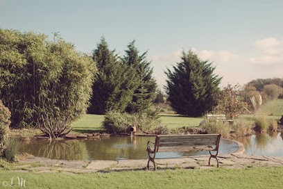 Reflexologie Plantaire Angers : Réflexologie Ness Harmonie Angers, Réflexologue à Saint-Martin-du-Fouilloux