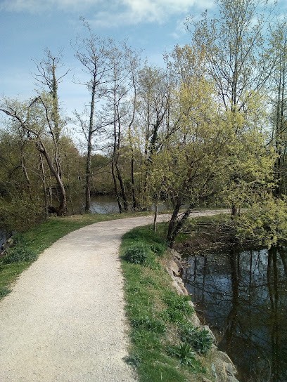 Josiane MARTIN SOPHROLOGUE, Praticien de Médecine Alternative à Challans