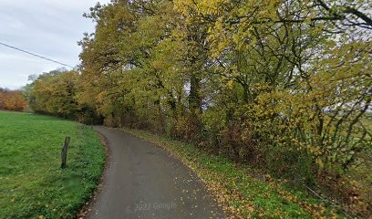 Magnétiseuse Christine Lahutte, Praticien de Médecine Alternative à Saint-Paul-en-Chablais