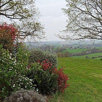 Priscilla Deneboude Réflexologue Saint Pierre D'Irube, Réflexologue à Saint-Pierre-d'Irube