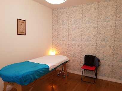 Corinne PEPIN - Fasciapulsologue / Pratique Manuelle Des FASCIAS / Fasciapulsologie, Praticien de Médecine Alternative à Lyon 07