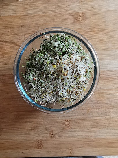 Natur'element Maillet Fanny, Praticien de Médecine Alternative à Saint-Saturnin-lès-Apt