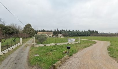 Charlotte ENGHEBEN, HYPNOSE, PSYCHOGÉNÉALOGIE ET SOINS ÉNERGÉTIQUES, Praticienne et enseignante holistique, Hypnothérapeute à Orange