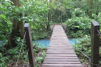 hypnose-humaniste-loire.fr, Hypnothérapeute à Aveizieux