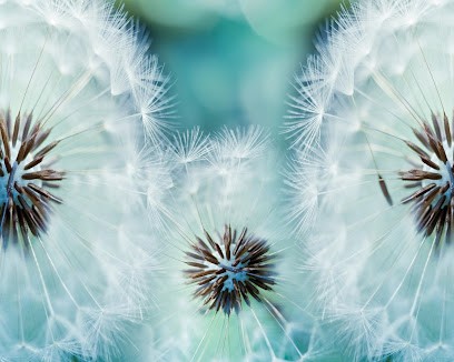 Somatothérapeute Delphine Gervais, Praticien de Médecine Alternative à Gap