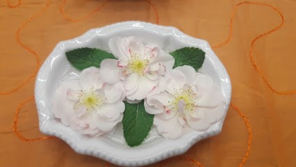 Marion Chatelain | Massages Ayurvédiques, Praticien de Médecine Alternative à Maxéville