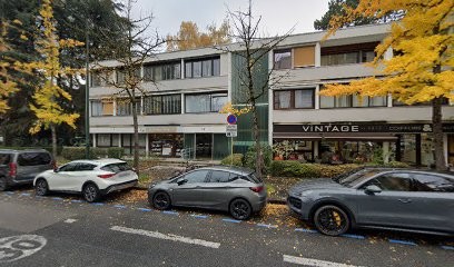 Cabinet Luxopuncture, Praticien de Médecine Alternative à Annecy