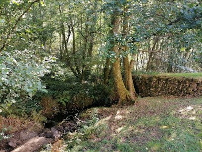 Amandine Potier - Gaïa Terre D'étoiles, Praticien de Médecine Alternative à Laurière