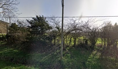 Soins Françoise Perrin, Praticien de Médecine Alternative à Roche-la-Molière