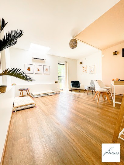 Plumes, Art-Thérapie, Praticien de Médecine Alternative à Auzeville-Tolosane