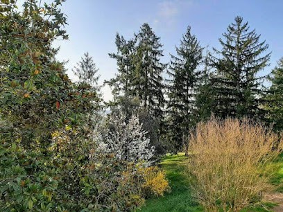 Coach Bien-Etre Julien Chassaing, Praticien de Médecine Alternative à Monsempron-Libos