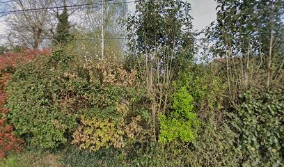 Julienature Net, Praticien de Médecine Alternative à Montbeton