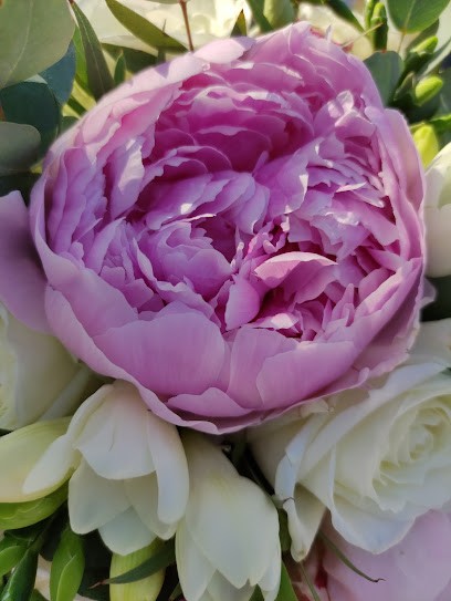 Marie-Laure NININE Sophrologue, Praticien de Médecine Alternative à Saint-Rémy-de-Provence