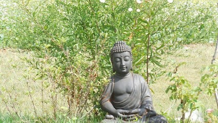 Coste Sophie, Praticien de Médecine Alternative à Montain