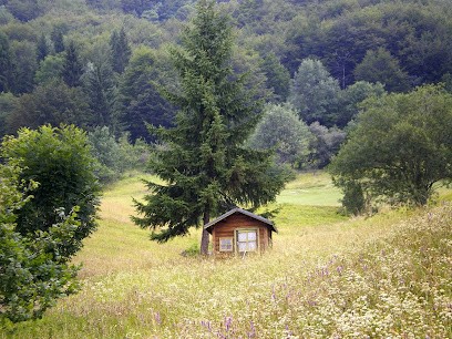 Benion Marie-Christine, Réflexologue à La Châtaigneraie