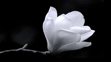 Valérie Sanabria, Réflexologue à Bron