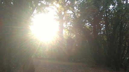 Annick Anges, Hypnothérapeute à Ancenis