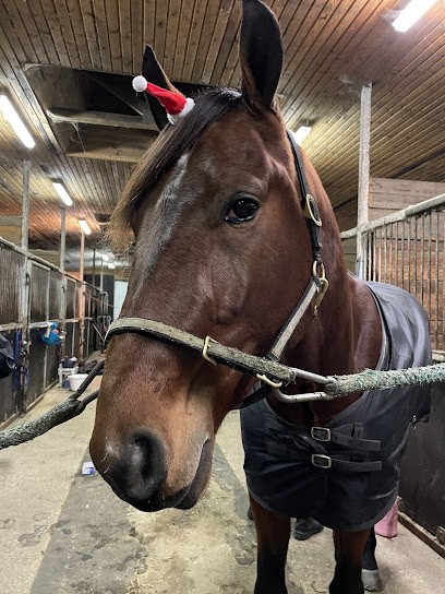 Communication Animale, communication intuitive, Caroline Adamski, Praticien de Médecine Alternative à Baracé