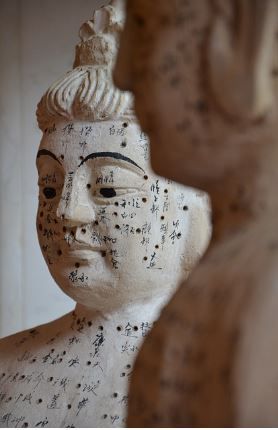 Mélanie Médecine Traditionnelle Chinoise Riom, Praticien De Médecine Alternative à Riom