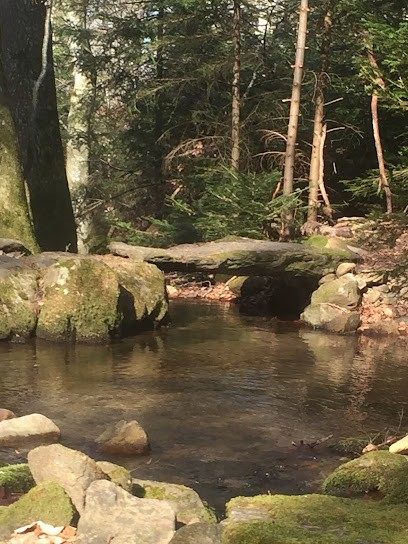 Moullec Catherine - Hypnothérapeute, Hypnothérapeute à Pélussin