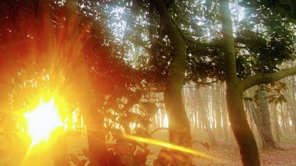 Suz'hypnose, Hypnothérapeute à Courcelles-le-Comte