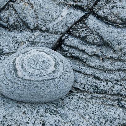 Cedric Magnetiseur Vendée, Praticien de Médecine Alternative à Saint-Georges-de-Pointindoux