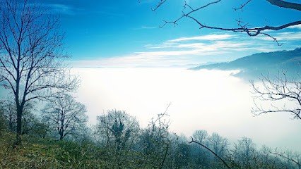 Michel siguenza Magnétiseur, Praticien de Médecine Alternative aux Halles