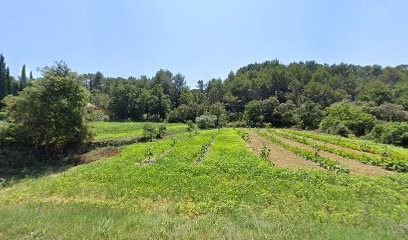 Valérie Ebrard, Aromathérapie, hypnose, fleurs de bach, Praticien de Médecine Alternative à Jouques