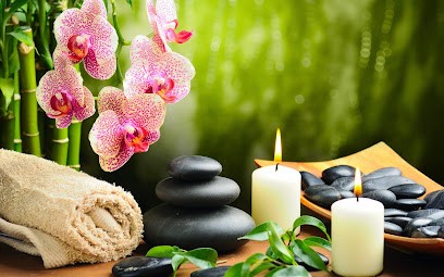 Natura35, Praticien de Médecine Alternative à Saint-Méloir-des-Ondes