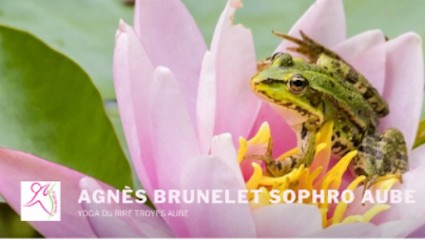 Agnès BRUNELET EI, Praticien de Médecine Alternative à Sainte-Savine