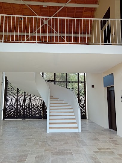 Claudie DEGORCE Naturopathe, Praticien de Médecine Alternative à Jonzac