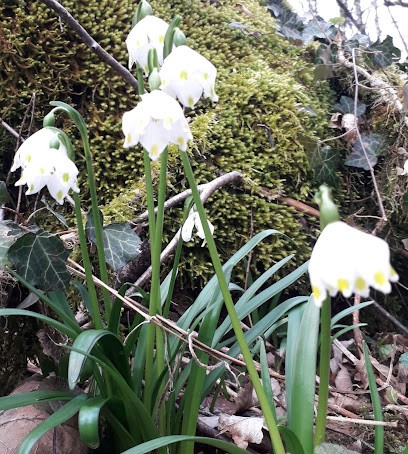 Myriam Pawly Naturopathe, Praticien de Médecine Alternative à Besançon