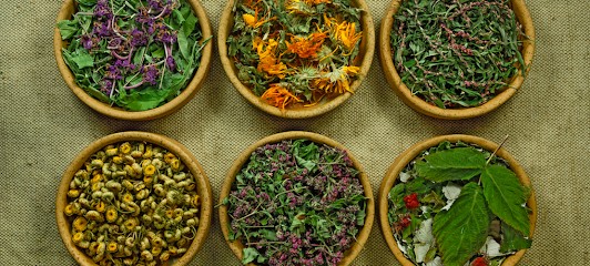 Carole Pannetier-Leroyer, Réflexologue à Apt