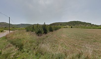 VALERY Blandine, Praticien de Médecine Alternative à Rochecolombe