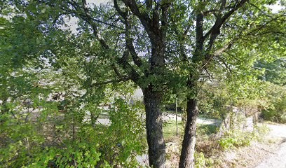 Oustaù Levantes, Praticien de Médecine Alternative à Gargas