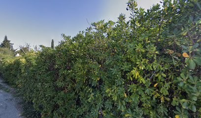 Detilleux Anne, Hypnothérapeute à Jonquerettes