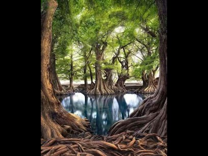 Sophie Da Riba, Hypnothérapeute à Étampes