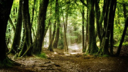 Nathalie Travert énergéticienne, Praticien de Médecine Alternative à Pontchâteau