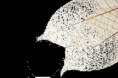 Chantal SLAMA sophrologue, Praticien de Médecine Alternative à Paris 16