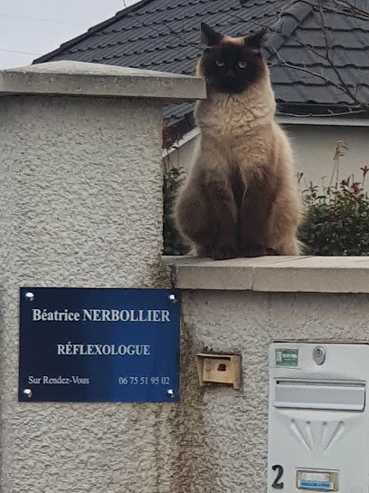 Béatrice NERBOLLIER Réflexologue, Réflexologue à Bordères