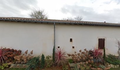 Nathalie Dronchat Réflexologue, Réflexologue à Layrac-sur-Tarn