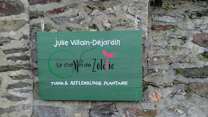 Julie Villain Déjardin - médecine traditionnelle chinoise-massages Tuina et réflexologie plantaire- Le Chemin de Zolélie, Praticien de Médecine Alternative à Parfouru-sur-Odon