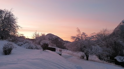 Zen Alpitude Réflexologie, Réflexologue à Samoëns