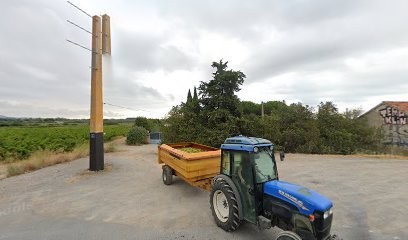 Cabinet De Réflexologie Emilie Humblot, Réflexologue à Vic-la-Gardiole