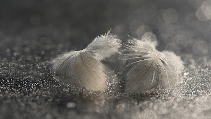 Hypnose Housset Joel, Hypnothérapeute à Limoges