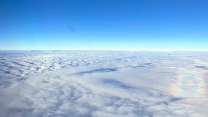 Delphine SEGURA GAUTIER Hypnose -Thérapie systémique, Praticien de Médecine Alternative à Caluire-et-Cuire